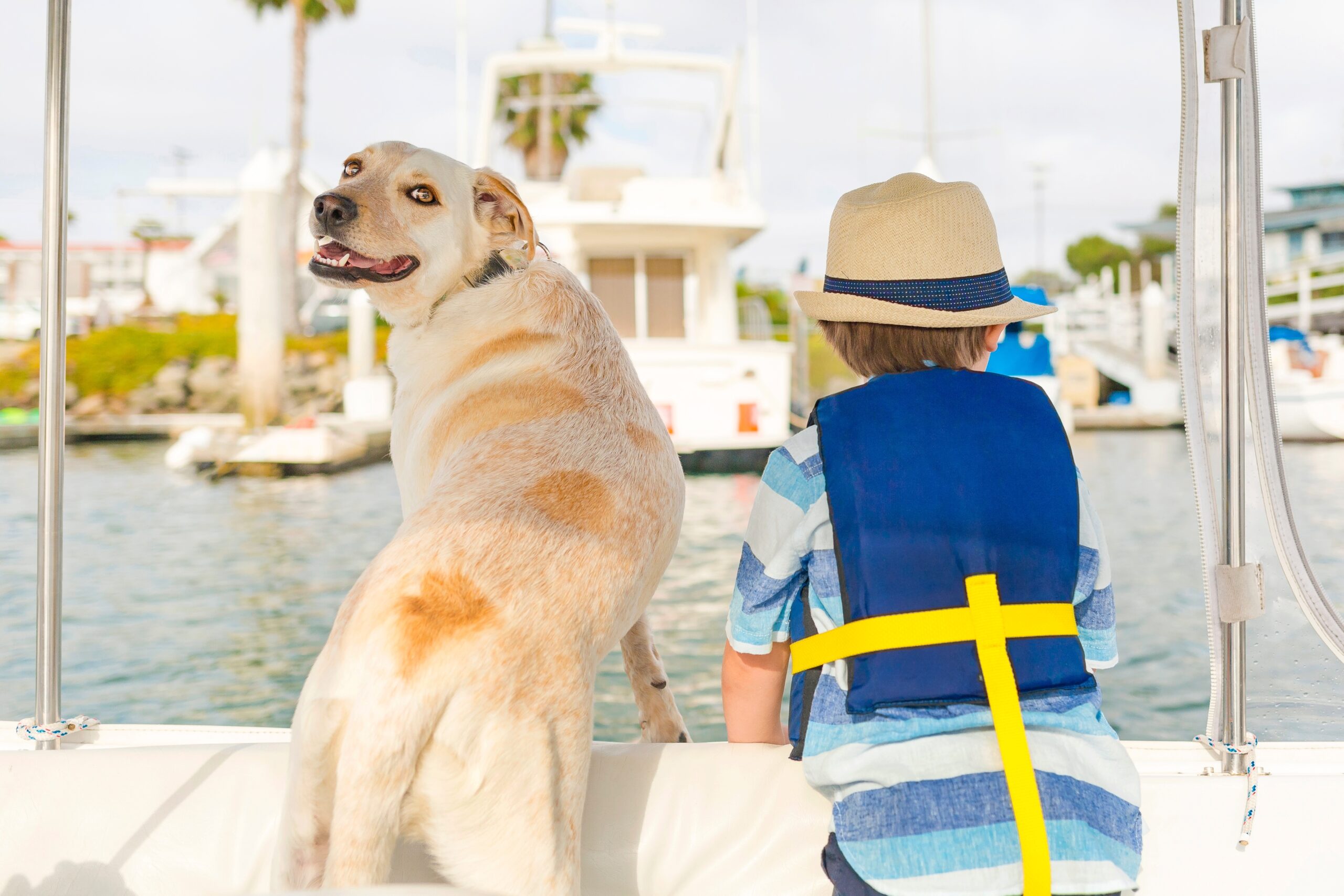 Little kid and dog on a boat