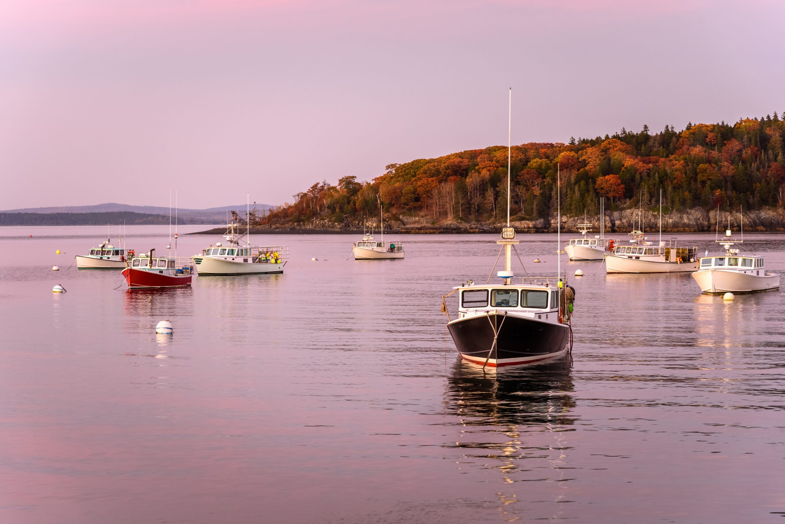 Bar Harbor